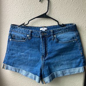 BP Denim Shorts (Never Worn)